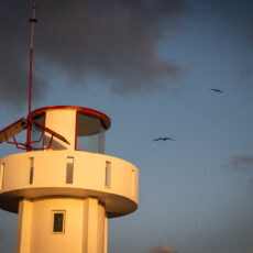 Golden hour view of the lighthouse in Puerto Morelos and the outline of several birds soaring in the evening sky.